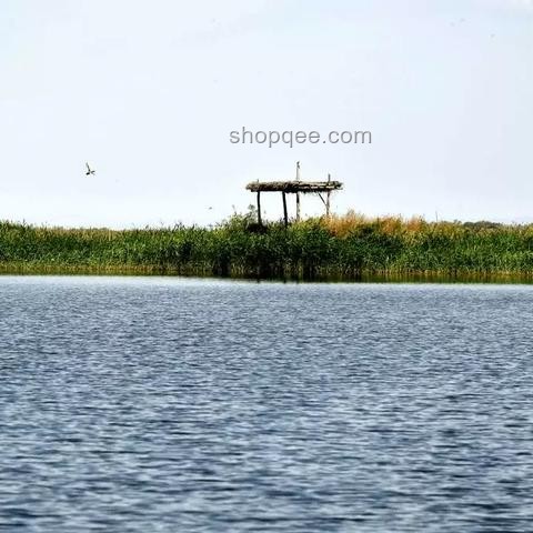 北大回应商家售卖未名湖湖水问题解决方案